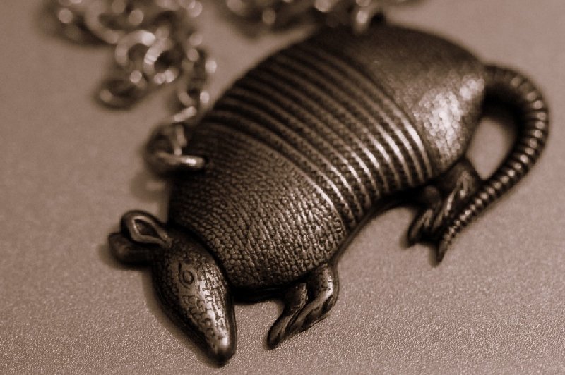 armadillo-1024x682 mod