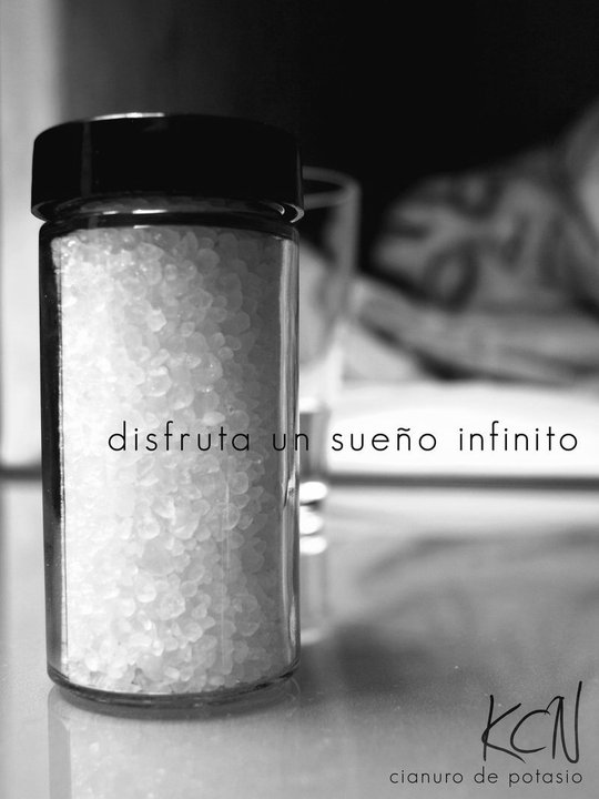 39497_1468062354538_6243008_n