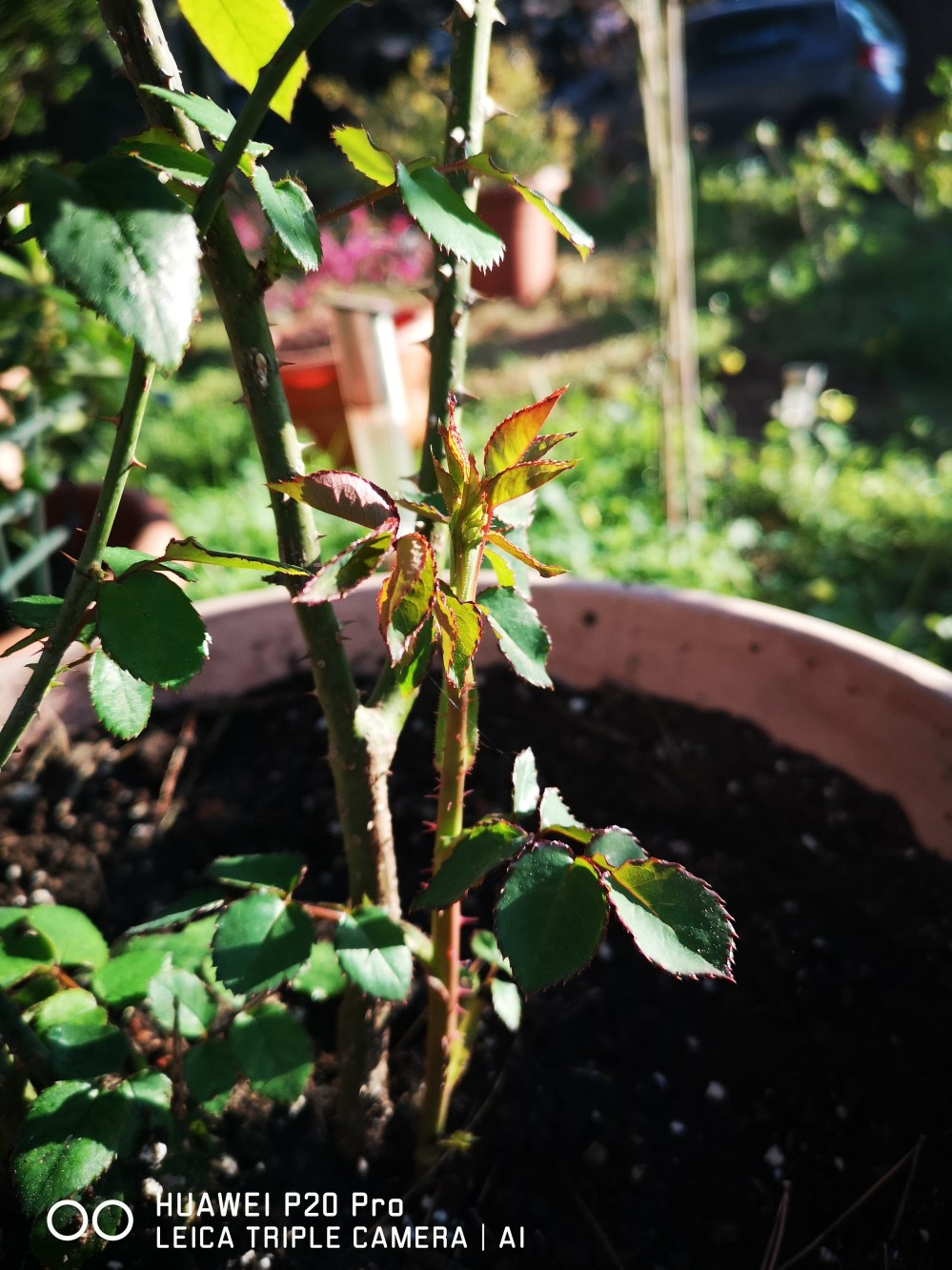 15846318263948757791689960411672